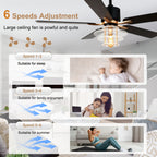 DC5222-B/C-BellaDepot 52" Modern Black or Chrome Acrylic Shade Ceiling Fan with Remote Control, 5 Blades Standard Ceiling Fan with Lights